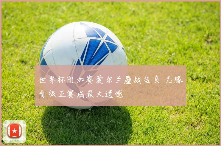 世界杯附加赛爱尔兰鏖战告负 无缘晋级正赛成最大遗憾