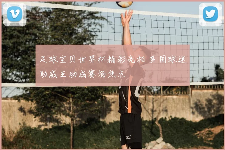 足球宝贝世界杯精彩亮相 多国球迷助威互动成赛场焦点