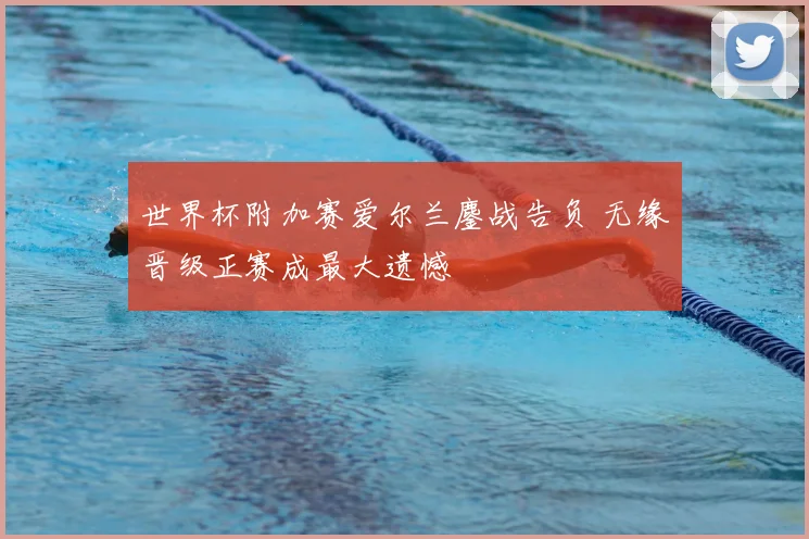 世界杯附加赛爱尔兰鏖战告负 无缘晋级正赛成最大遗憾