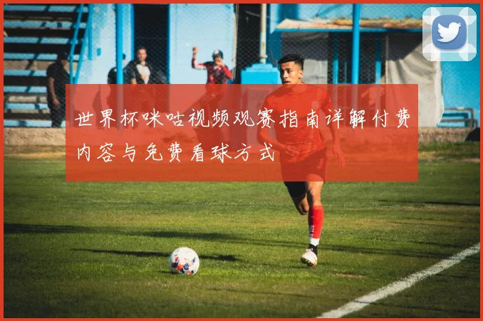 世界杯咪咕视频观赛指南详解付费内容与免费看球方式