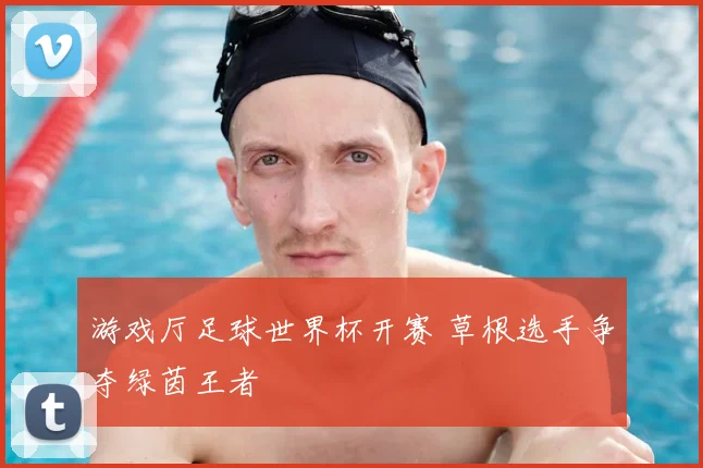 游戏厅足球世界杯开赛 草根选手争夺绿茵王者